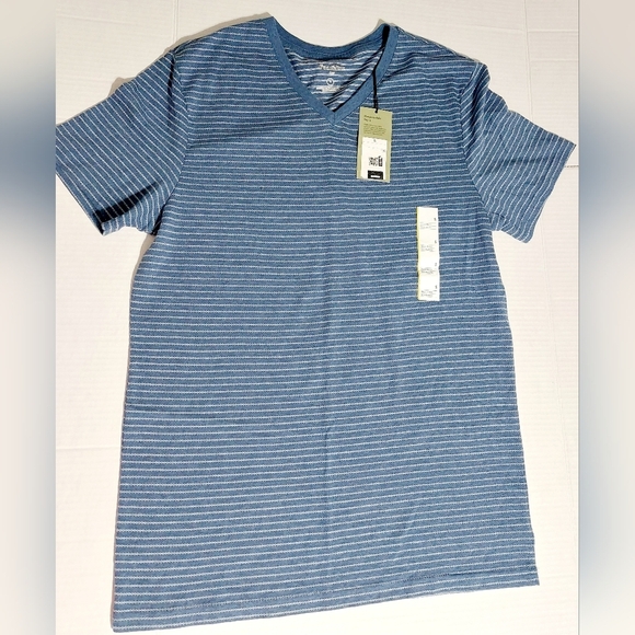 V-Neck T-shirt BLUE w STRIPE short sleeve Standard Men Small Goodfellow - Picture 1 of 7